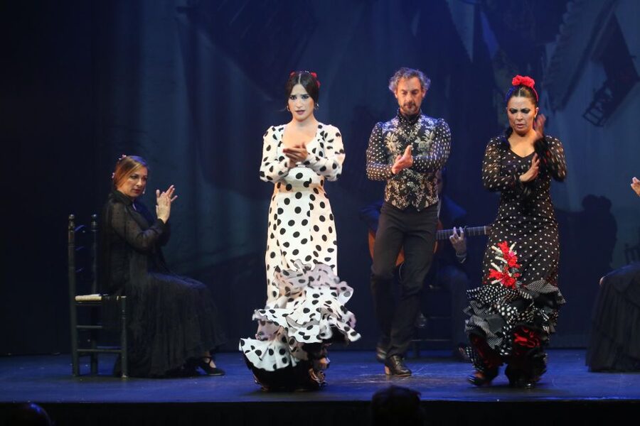 Malaga: Teatro Flamenco Malaga Live Flamenco Show - Drinks and the no-food rule that affects your dinner plan