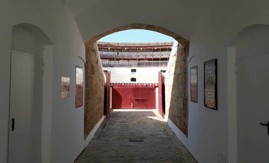Malaga: Tour of Malagueta Bullring & Immersive Exhibition - Entering the bullring with a 6-language audioguide that actually works