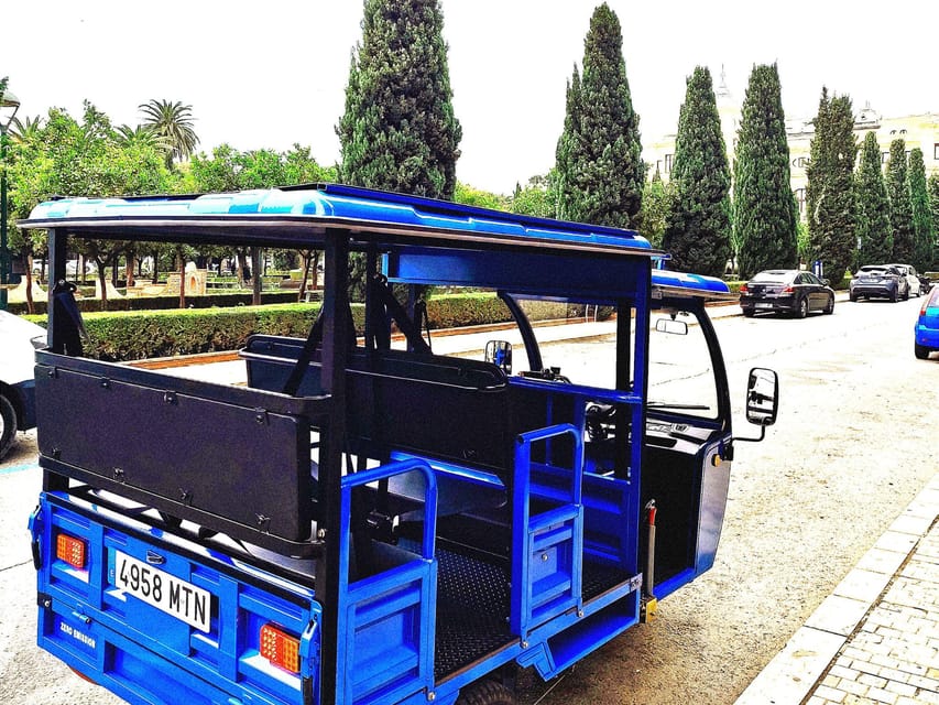 Malaga: Tuk tuk tour - Why this electric tuk-tuk tour fits Malaga so well