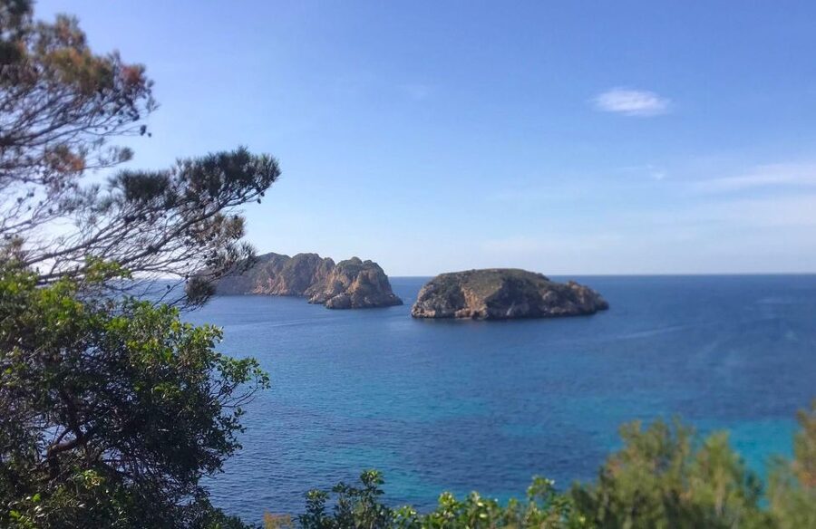 Mallorca: 2-Hour Coastline & Malgrat Islands Catamaran Tour - Who should book this catamaran tour, and who should skip it