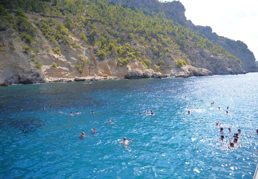 Mallorca: 2-Hour Coastline & Malgrat Islands Catamaran Tour - The Malgrats Islands portion: birds, cliffs, and fish under the boat
