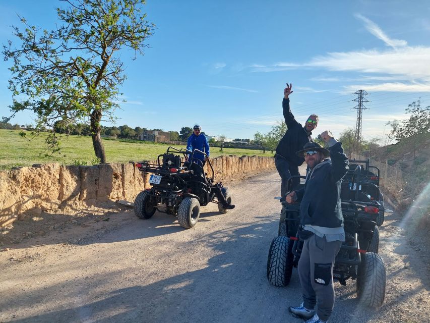Mallorca: Buggy Tour Adventure with Cove Swimming - Key highlights you’ll feel right away