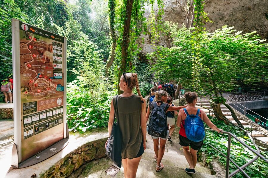 Mallorca: Caves of Drach Day Trip & Optional Caves of Hams - Key highlights at a glance