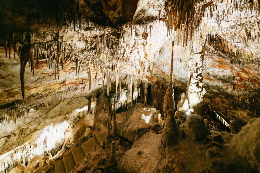 Mallorca: Caves of Drach Day Trip & Optional Caves of Hams - The synchronized light show and why it works so well
