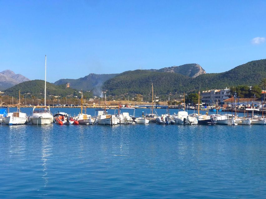 Mallorca: Coastal Cruise to Port of Andratx with swim stop - Key highlights worth your attention