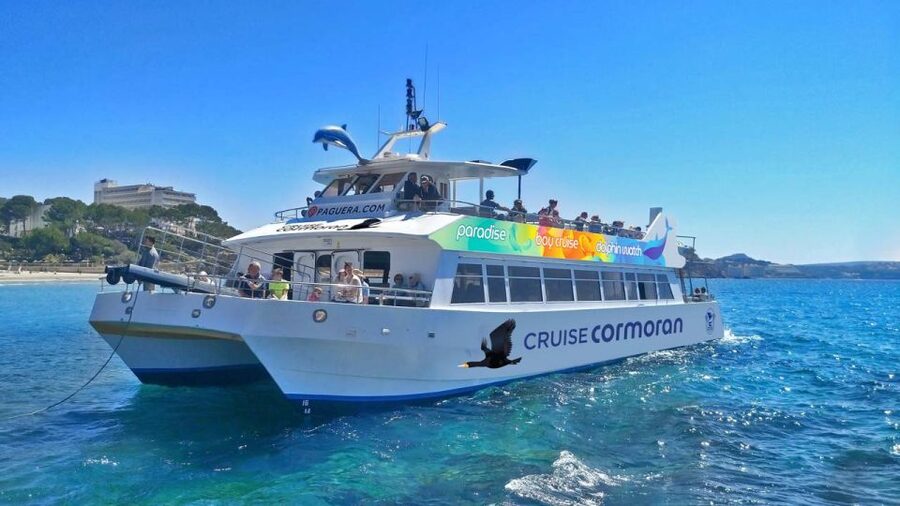 Mallorca: Coastal Cruise to Port of Andratx with swim stop - Who should book this Mallorca boat trip, and who should skip it