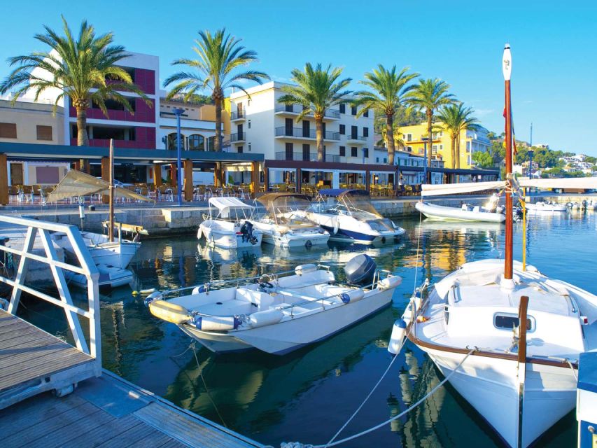 Mallorca: Coastal Cruise to Port of Andratx with swim stop - Mallorca coastal cruise from Santa Ponsa: a short trip with a big payoff
