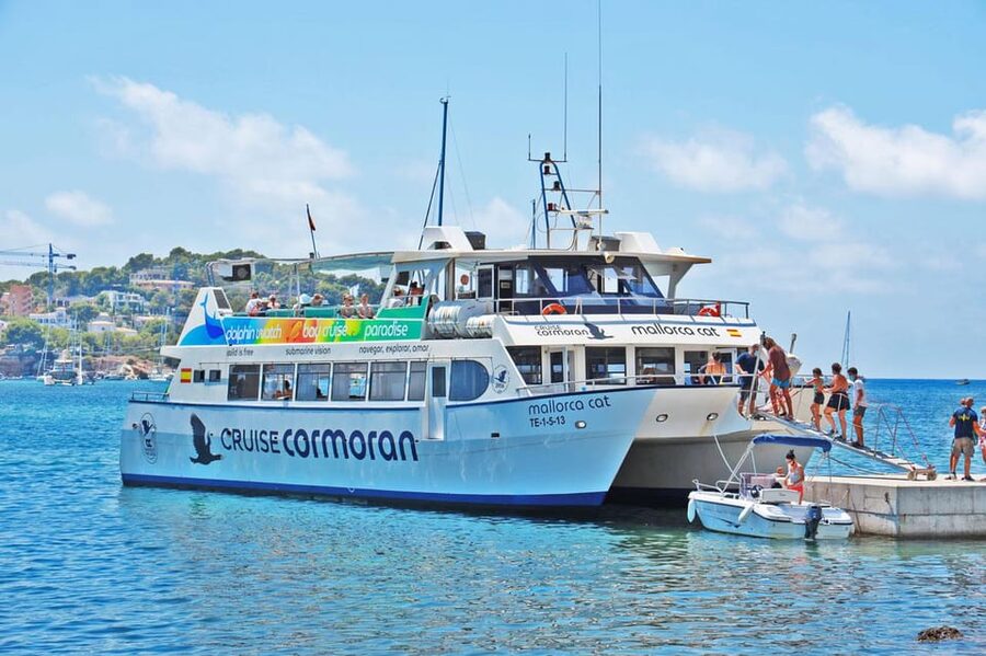 Mallorca: Coastal Cruise to Port of Andratx with swim stop - Cala Egos swim stop: the main event