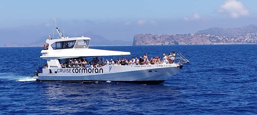 Mallorca: Coastal Cruise to Port of Andratx with swim stop - Malgrats Islands Marine Reserve: why the route matters