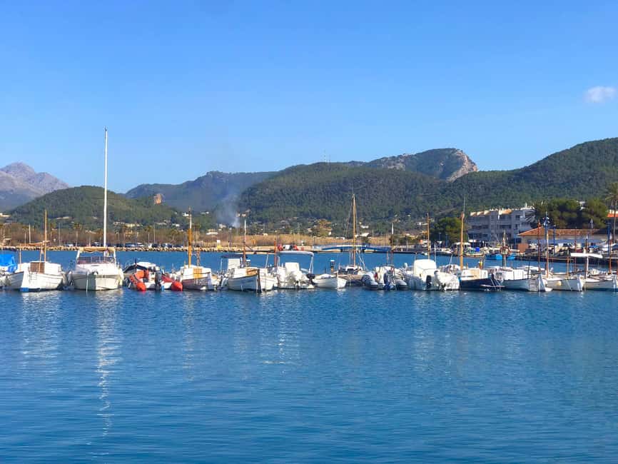 Mallorca: Coastal Cruise to Port of Andratx with swim stop - Cala en Tió cave: a nice bonus if weather allows
