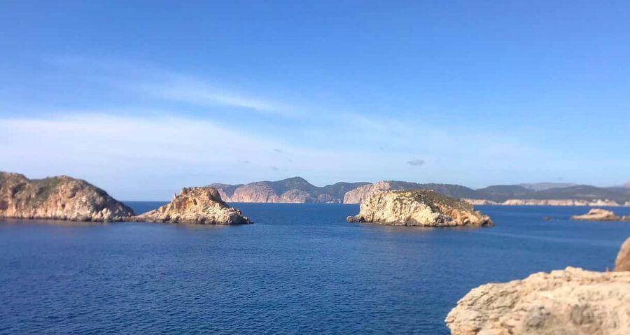 Mallorca: Coastal Cruise to Port of Andratx with swim stop - Port d’Andratx in 40 minutes: how to spend your harbour time well