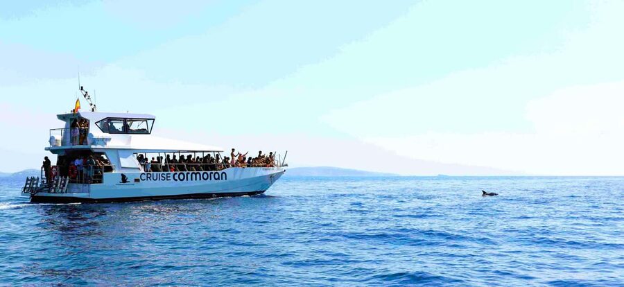 Mallorca: Coastal Cruise to Port of Andratx with swim stop - Food, drinks, and the reality of what you will pay for
