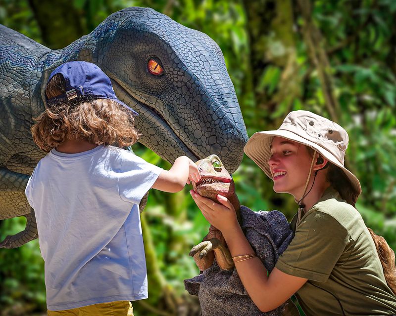 Mallorca: Dinosaurland and Caves of Hams Combined Ticket - Food, heat, shoes, and how to time the combo