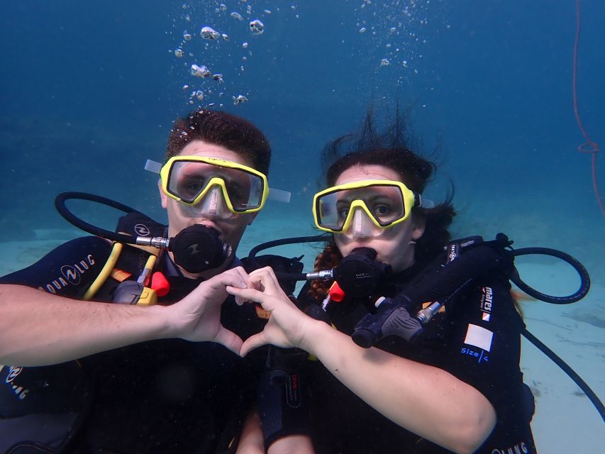 Mallorca: Discover Scuba Diving for Beginners - The protected reserve and what you’ll likely see