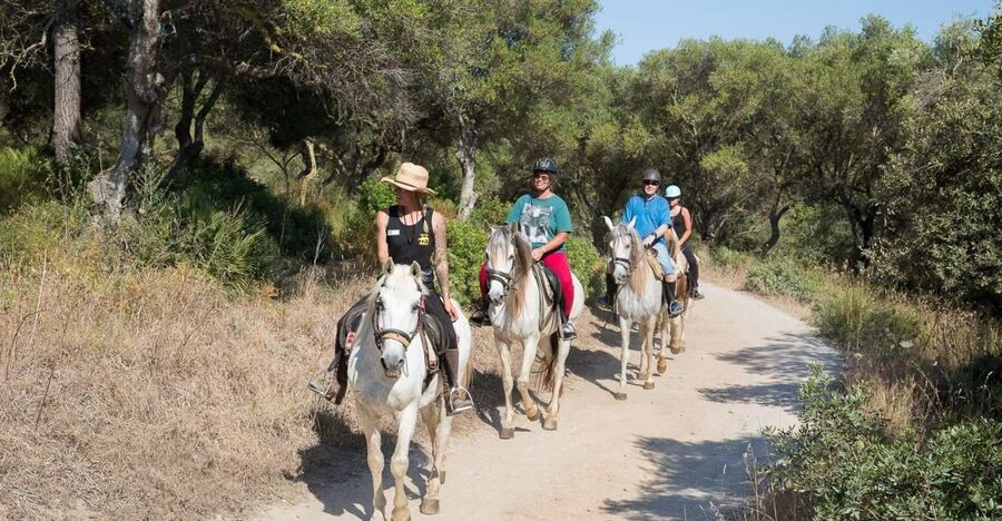 Mallorca: Horseback Riding Excursion and Wine Tasting - Quick Highlights