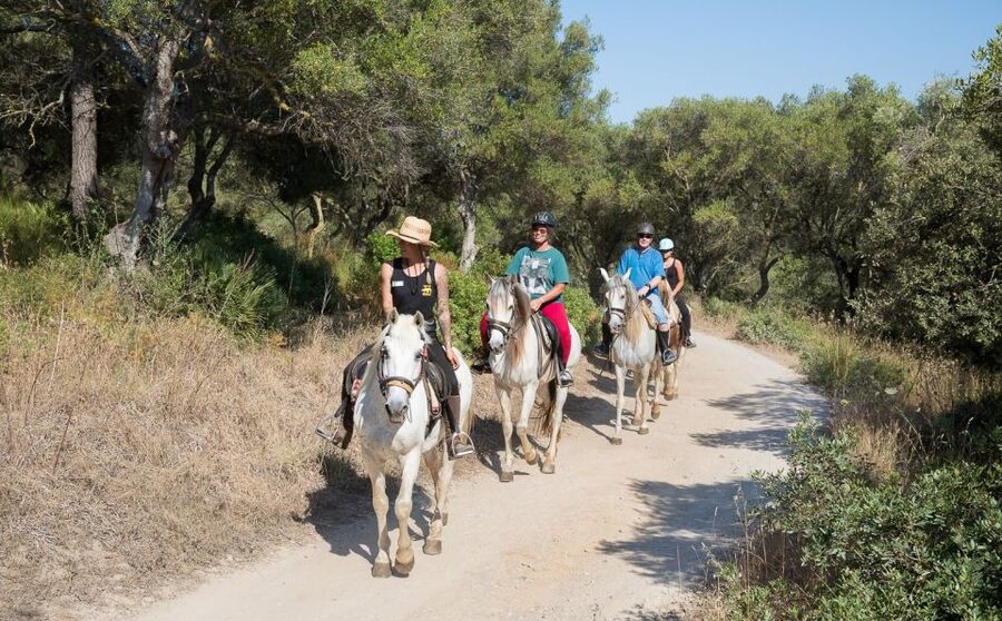 Mallorca: Horseback Riding Excursion and Wine Tasting - Entering The Ranch And Getting Set Up For The Ride