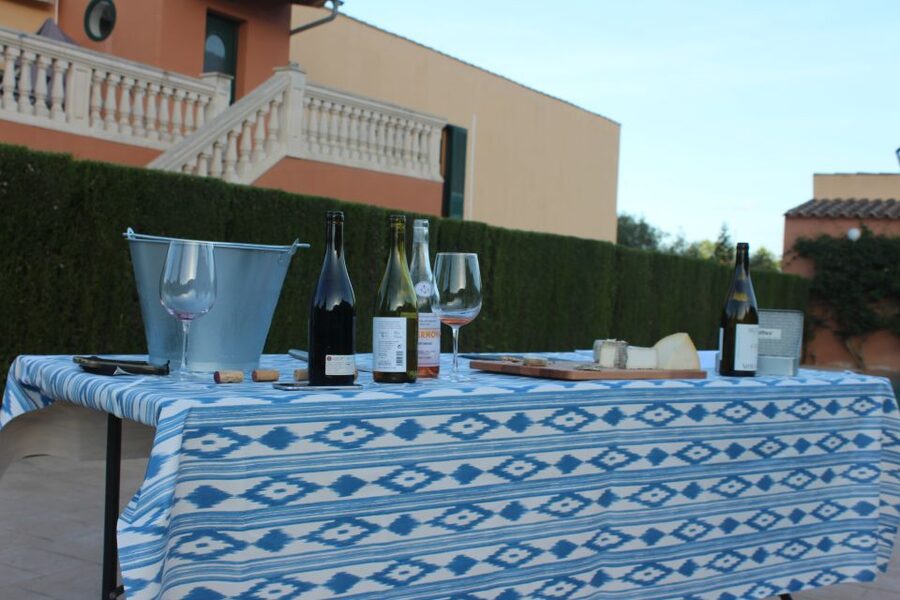 Mallorca: Horseback Riding Excursion and Wine Tasting - How The Guides Keep Beginners Comfortable
