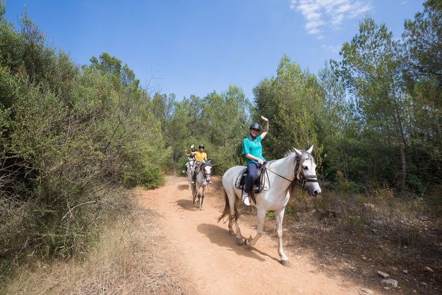 Mallorca: Horseback Riding Excursion and Wine Tasting - The Ranch Tastings: Wine, Cheese, And Stories From Local Farmers