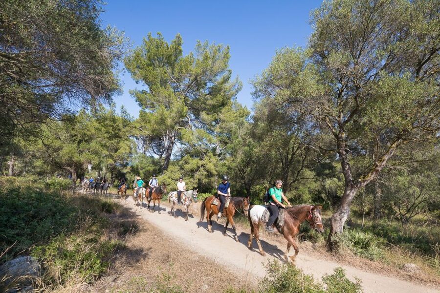Mallorca: Horseback Riding Excursion and Wine Tasting - Price And Value: Why $75 Makes Sense Here