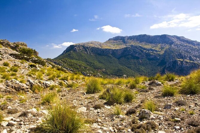 Mallorca in One Day Sightseeing Tour with Boat Ride and Vintage Train - Why This One-Day Loop Feels Efficient