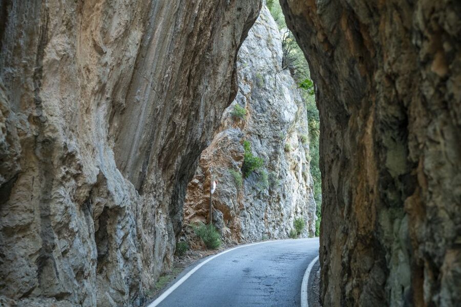 Mallorca: Island Tour with Boat, Tram & Train from the South - Guide and Driver Quality: The Difference Maker on This Route
