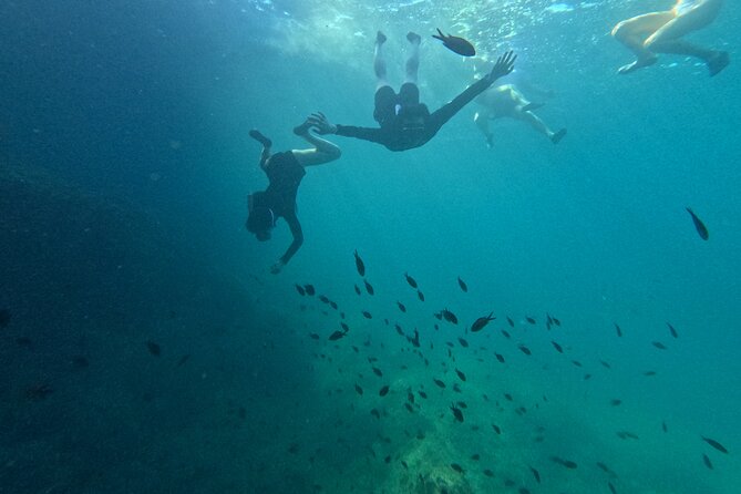 Mallorca: Kayaking, Sea Cave, Cliff Jumping & Snorkel Tour - Group size and pacing: fun, with some waiting built in