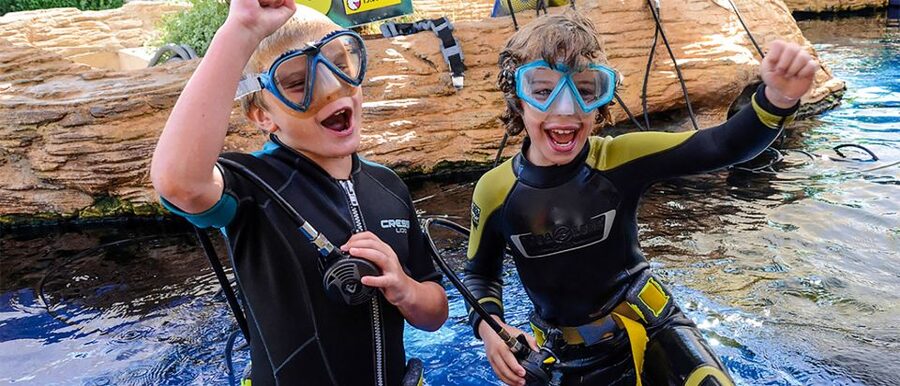 Mallorca: Palma Aquarium Entry Ticket w/ Optional 3D Cinema - Quick hit points before you go