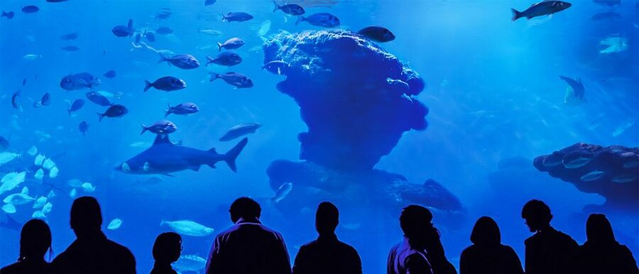 Mallorca: Palma Aquarium Entry Ticket w/ Optional 3D Cinema - Family-friendly extras that keep kids engaged
