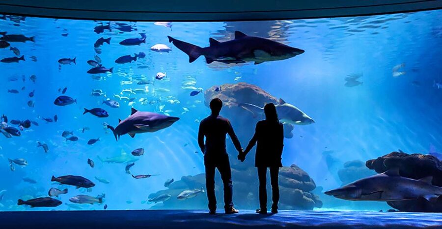 Mallorca: Palma Aquarium Entry Ticket w/ Optional 3D Cinema - Where you start, and how to pick your timing