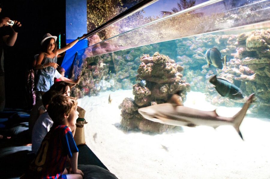 Mallorca: Palma Aquarium Entry Ticket w/ Optional 3D Cinema - Getting in fast: what the ticket really gives you