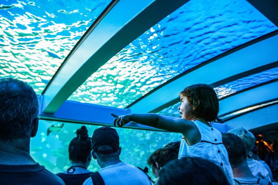 Mallorca: Palma Aquarium Entry Ticket w/ Optional 3D Cinema - The route across 8 habitats: Mediterranean to Jungle