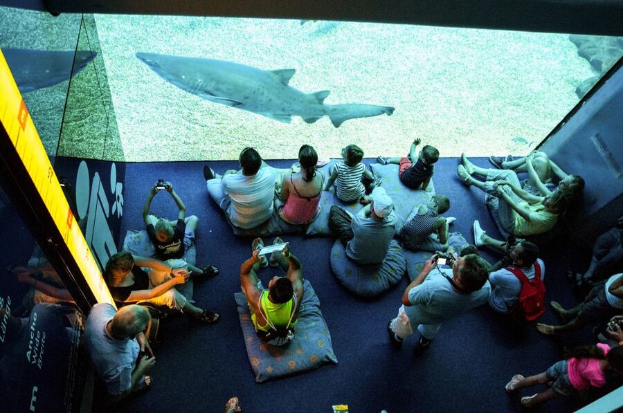 Mallorca: Palma Aquarium Entry Ticket w/ Optional 3D Cinema - Aquadome 3D cinema: optional whale magic for the right day
