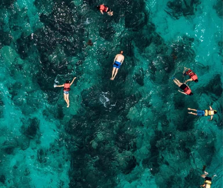 Mallorca: Palma Boat Tour & Snorkeling with Drink Included - Who should book this Palma Bay snorkeling cruise