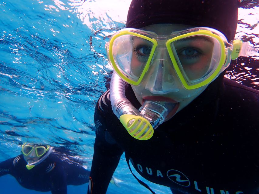 Mallorca: Snorkeling in a Beautiful Nature Reserve - Why This Mallorca Snorkeling Feels Different Than Most Tours