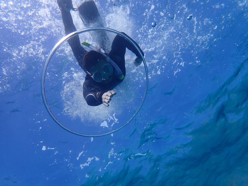 Mallorca: Snorkeling in a Beautiful Nature Reserve - Should You Book This Mallorca Snorkeling Tour?