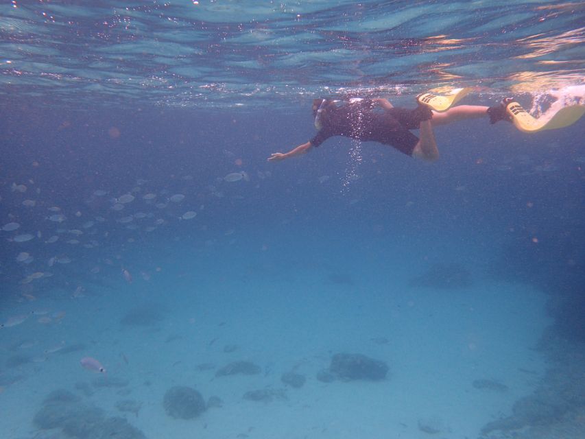 Mallorca: Snorkeling in a Beautiful Nature Reserve - Key Things to Know Before You Go