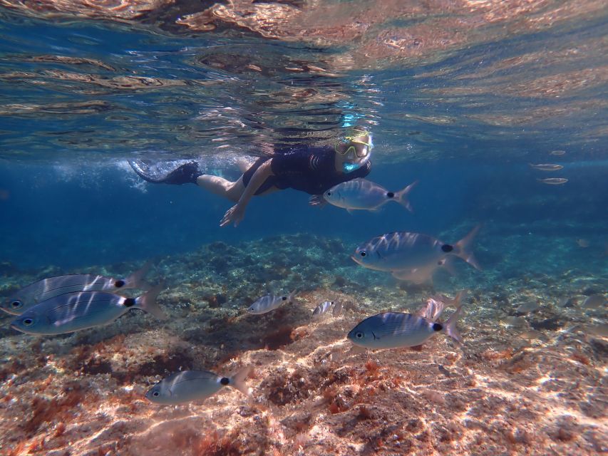 Mallorca: Snorkeling in a Beautiful Nature Reserve - Value for Money: Is $82 Worth It?