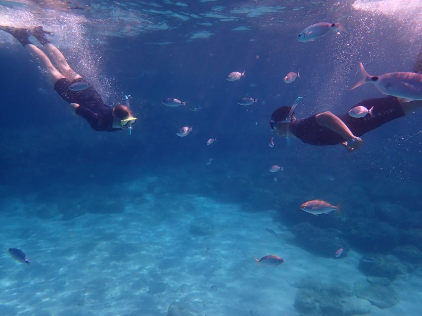 Mallorca: Snorkeling in a Beautiful Nature Reserve - Who Should Book This Snorkeling Tour