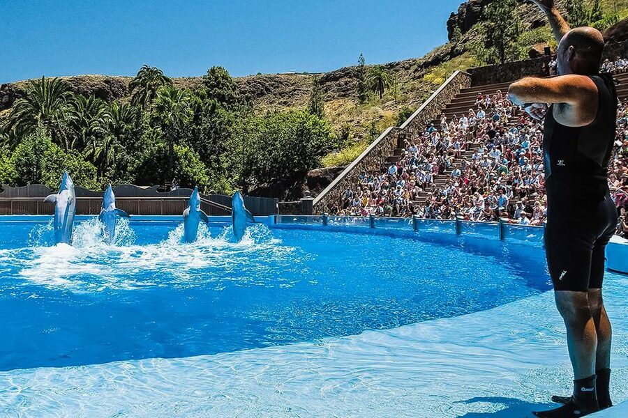 Maspalomas: Palmitos Park Ticket with Dolphin and Bird Shows - Walking plan for steep hills, shade, and mobility scooters