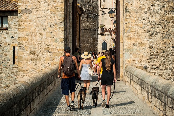 Medieval Three Villages Small Group Day Trip from Barcelona - Besalú walking tour: Romanesque bridge, mikveh, and medieval synagogue