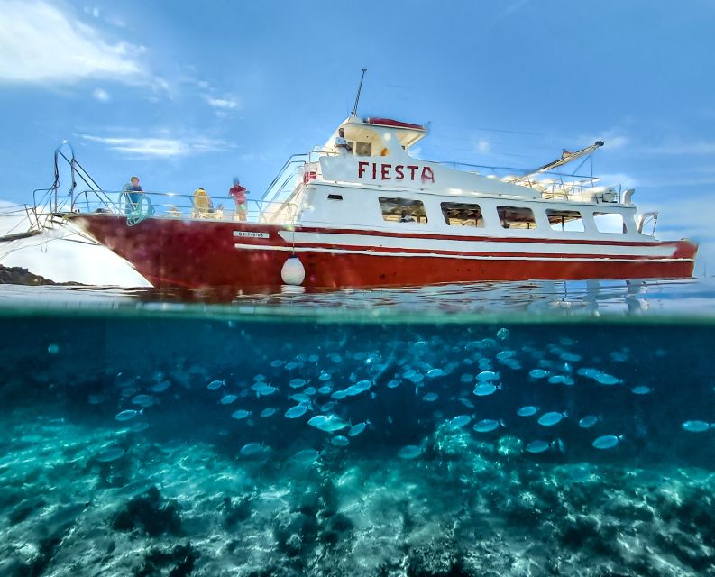 Menorca: Full-Day Boat Tour with Paella Lunch - Key points before you book