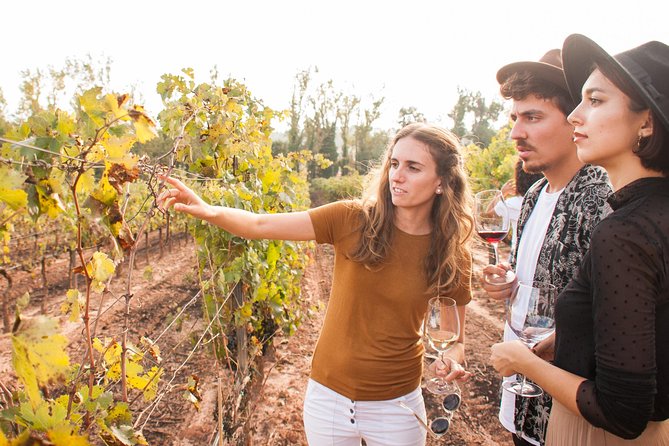 Montserrat & Cogwheel Train, Gourmet Wine Tasting & Tapas/Lunch - Montserrat free time, monk-made treats, and what is not included