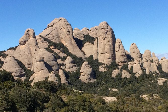 Montserrat Hiking Experience & Monastery Premium Small Group Tour - Market Time at the Monastery: What to Do With Your Free Half Hour