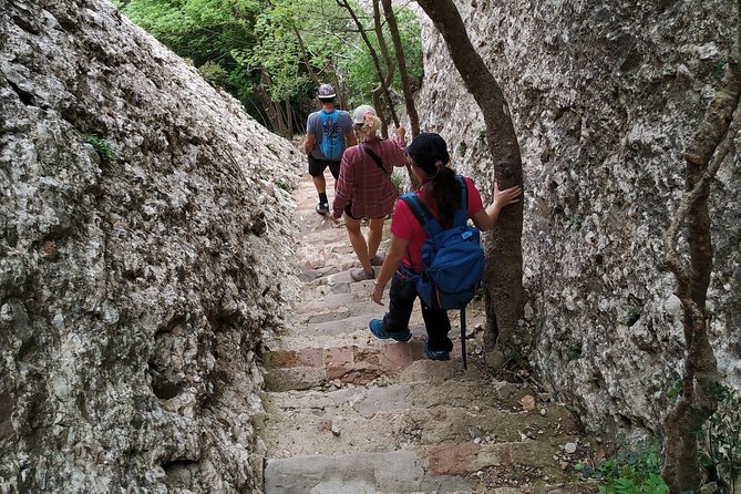 Montserrat Hiking Experience & Monastery Premium Small Group Tour - Price and Value: Why $90.80 Often Feels Worth It