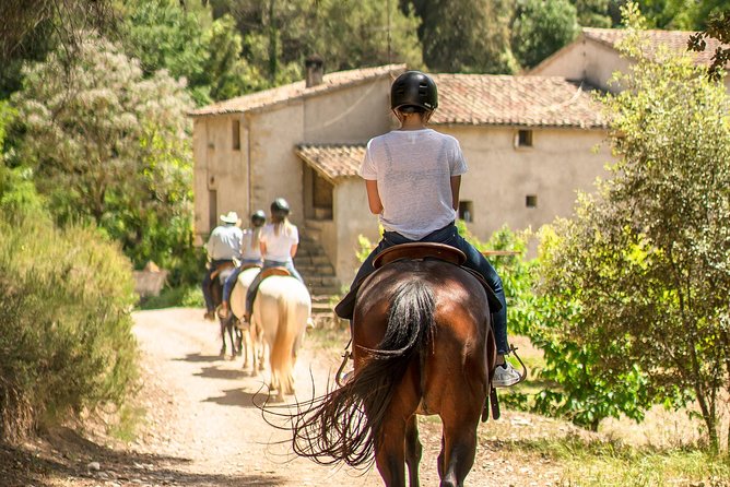 Montserrat Monastery & Horse Riding Experience from Barcelona - The horse ride itself: views, pace, and what beginners should expect