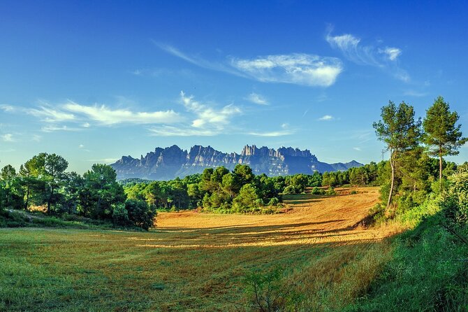 Montserrat Private Tour with Hotel pick-up from Barcelona - Santa Cueva de Montserrat: funicular or a 30-minute walk choice