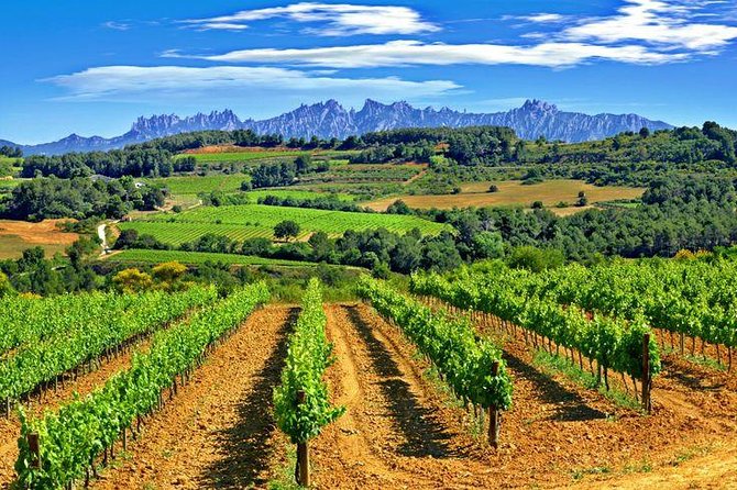 Montserrat,Vineyard, Wine Tasting Small Group Tour & Hotel Pickup - Funicular, Sant Jeroni Views, and How to Pick Your Pace