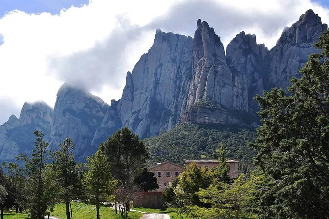 Montserrat,Vineyard, Wine Tasting Small Group Tour & Hotel Pickup - Penedes DO and Subirats: What You Learn Between Sips