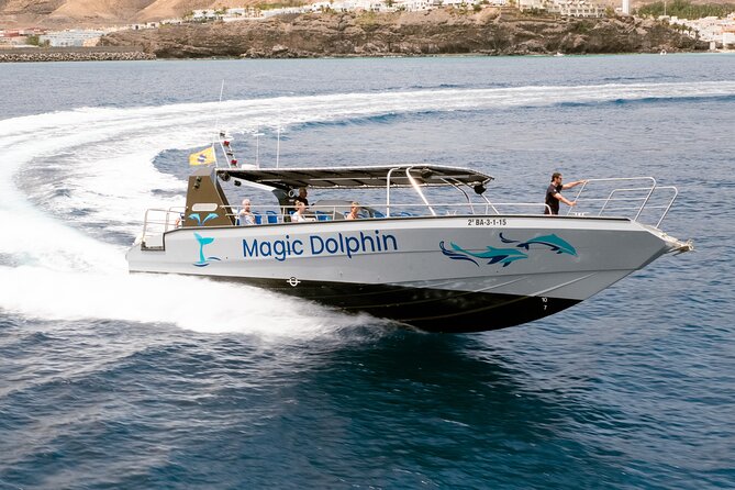 Morro Jable: 2 Hours Magic Dolphin & Whale watching with Drinks & Swim Stop. - The Jandía Bay swim stop: the part that makes the trip feel complete