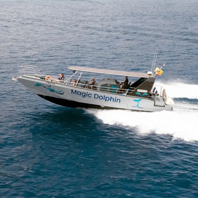 Morro Jable: Dolphin & Whale Watching Cruise, Drinks & Swim - Morro Jable Port: Your Headline Start to the Dolphin Hunt